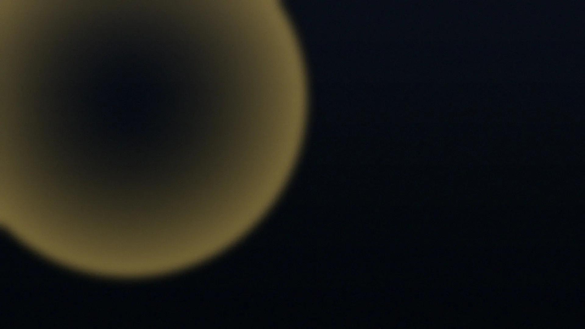 GrowthNexus premium website and GrowthSystem hero image